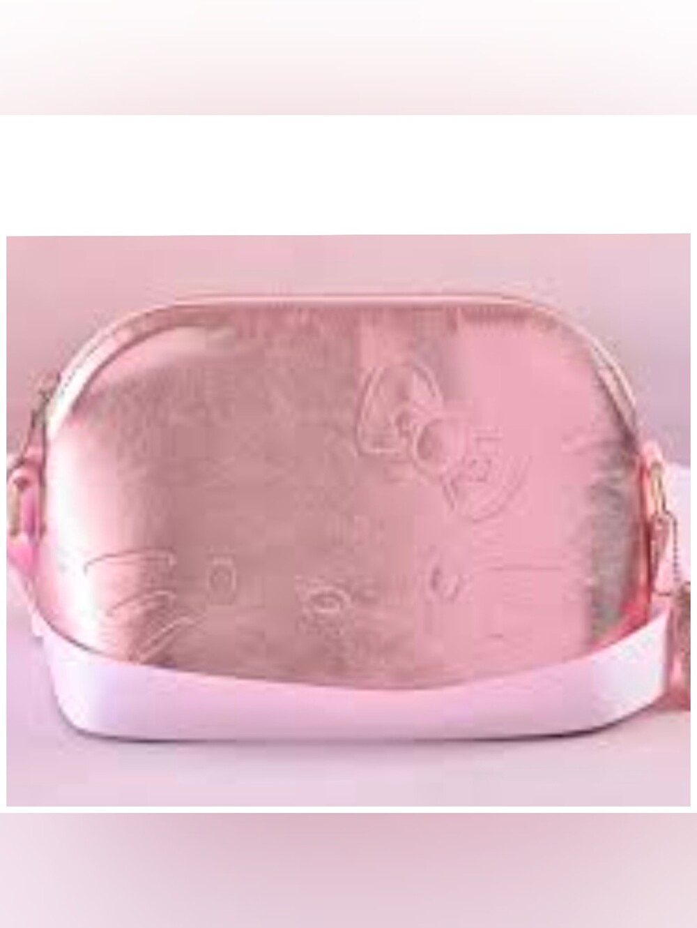 Hello Kitty  Igloo Cosmetic Pouch - Soft Pink Travel Bag